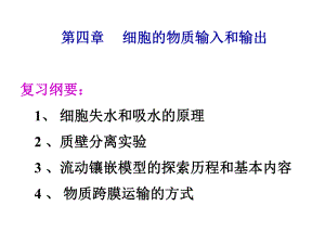 第四章细胞的物质输入和输出复习课件(新人教版必修1).ppt