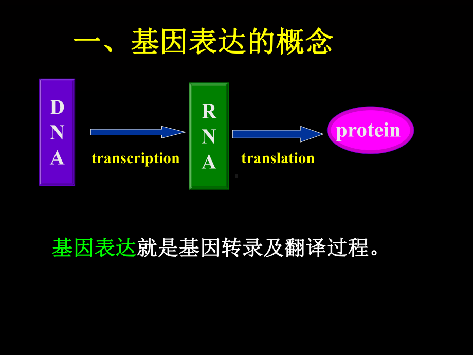 第八章基因表达调控课件.ppt_第3页