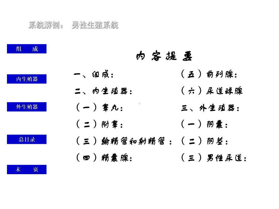 中小学初中学生性教育之男生篇主题班会教育课件.ppt_第2页