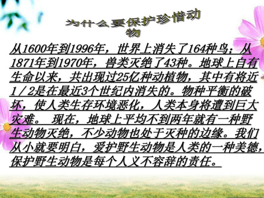 《保护珍稀动物》(幼儿园课件).ppt_第2页