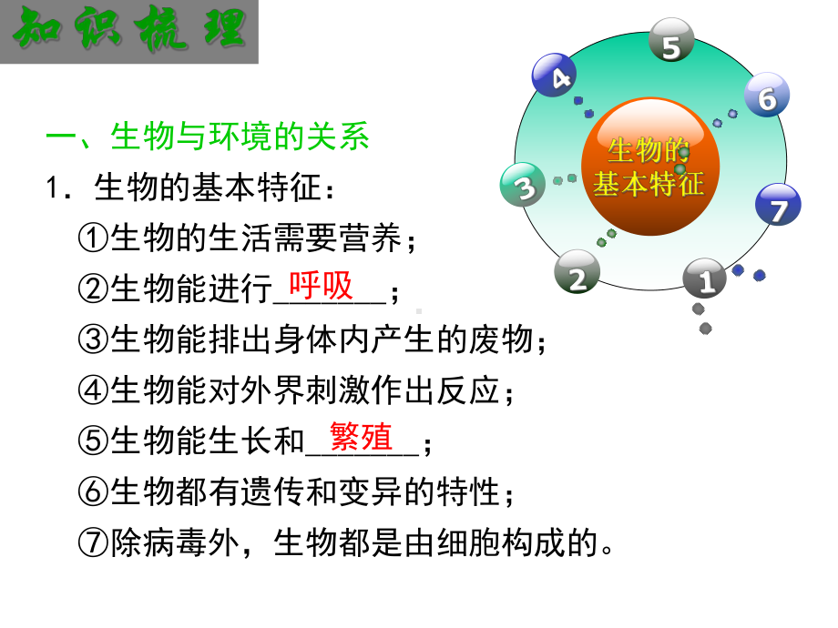 中考人教版七年级上生物总复习课件(共47张).ppt_第2页