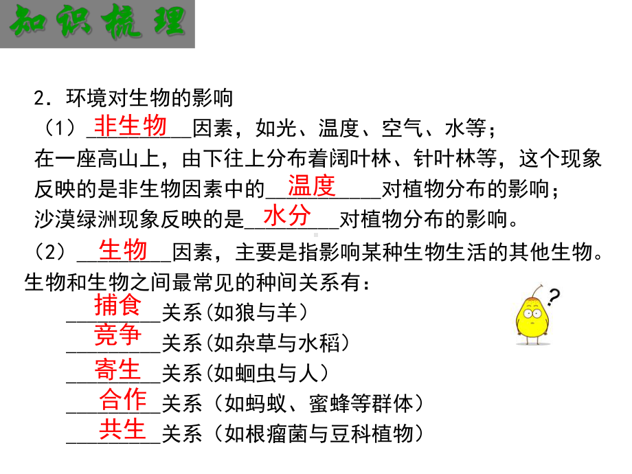 中考人教版七年级上生物总复习课件(共47张).ppt_第3页