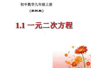 一元二次方程课件苏科版九年级数学上册.ppt