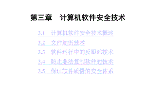 第三章计算机软件安全技术课件.ppt