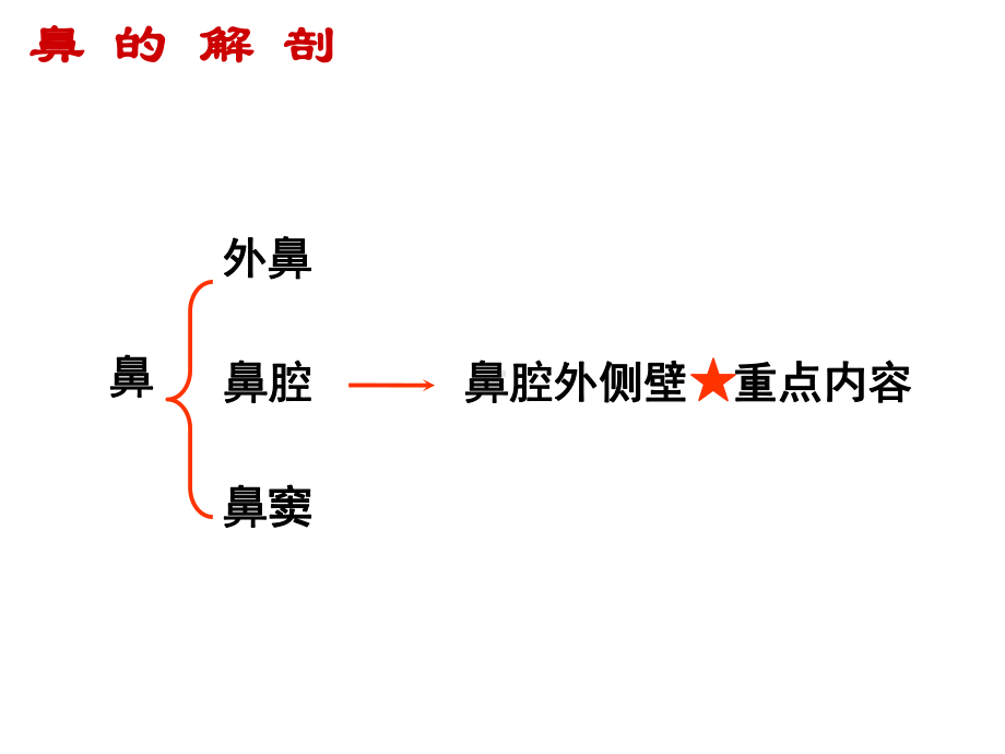 鼻的解剖及生理学课件.ppt_第2页