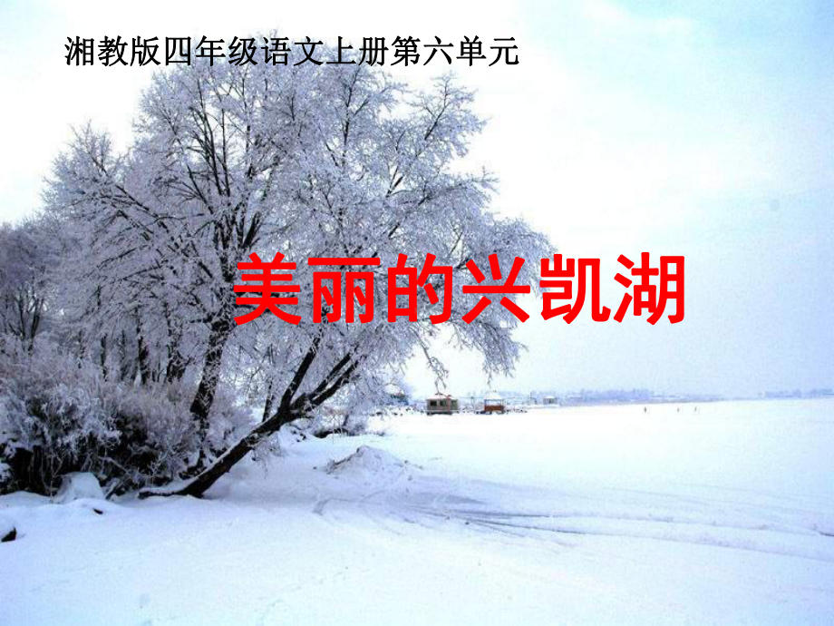 《美丽的兴凯湖》课件.ppt_第1页