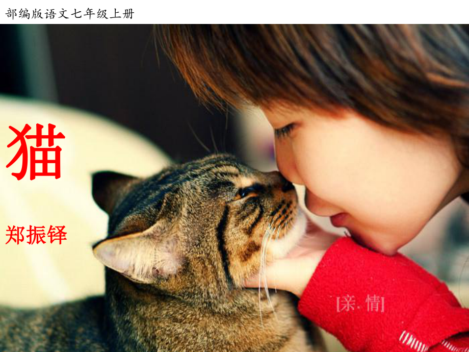 七年级上册语文《猫》课件.ppt_第1页