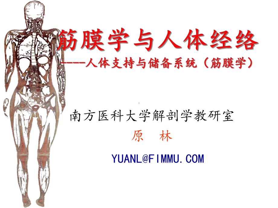 中医学理论筋膜学与人体经络课件.ppt_第1页