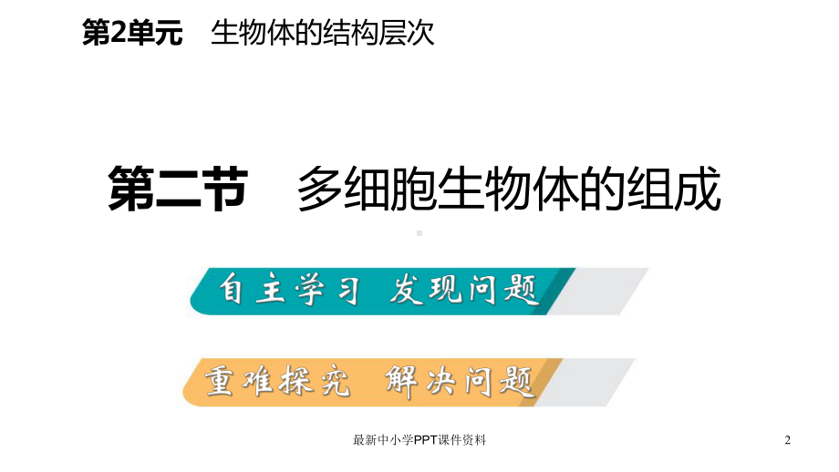 七年级生物上册第二单元第四章第二节多细胞生物体的组成课件新版苏教版.ppt_第2页