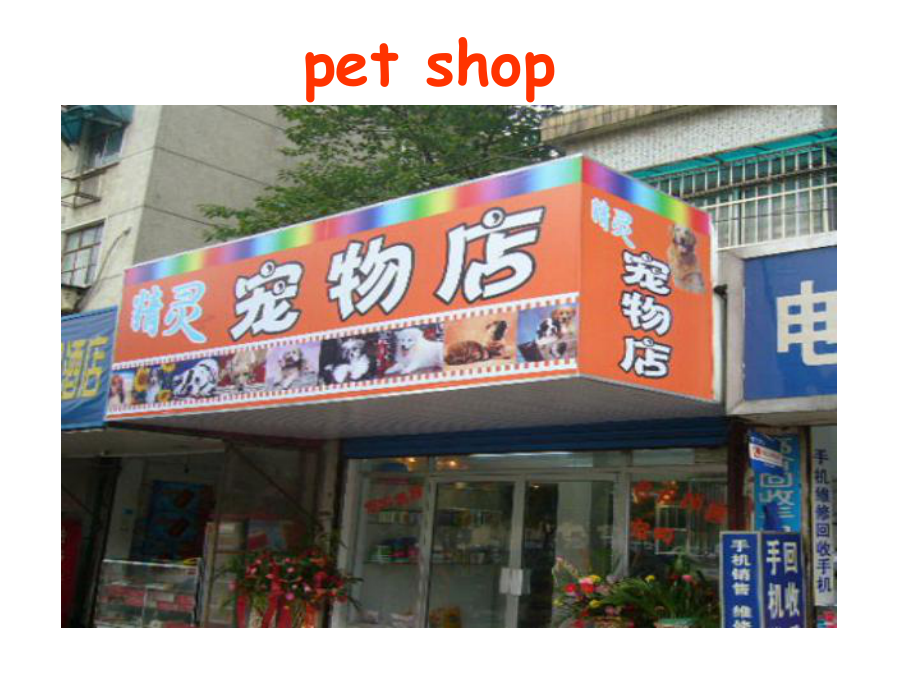 三年级英语上册《Unit4pets》课件3人教新起点.ppt-(课件无音视频)_第2页