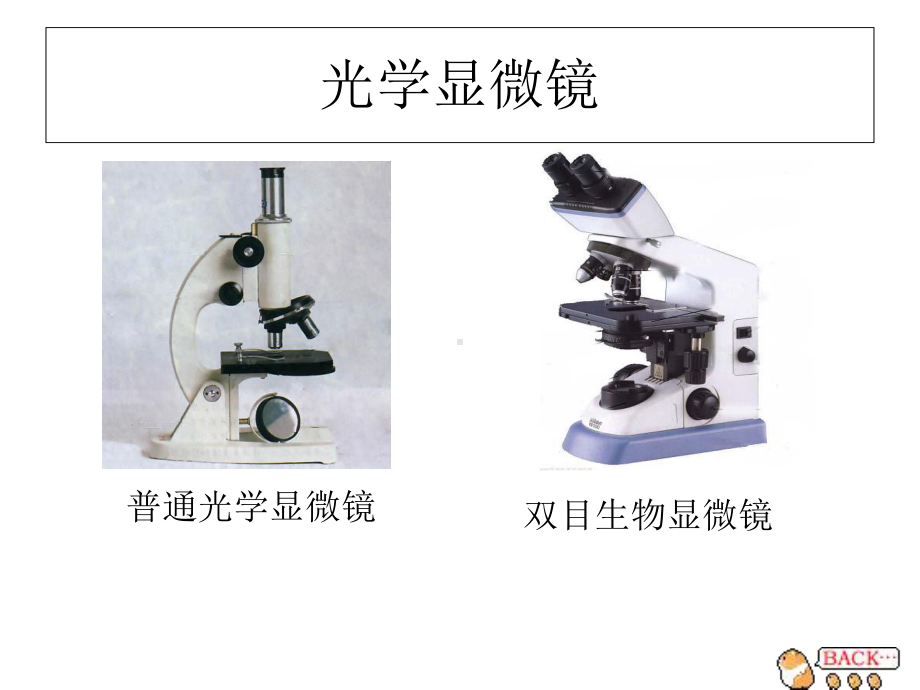 第一节练习使用显微镜)课件.ppt_第2页