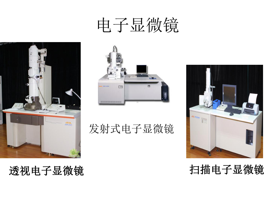 第一节练习使用显微镜)课件.ppt_第3页