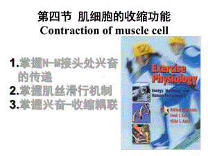 第四节肌细胞的收缩功能Contractionofmusclecell课件.ppt