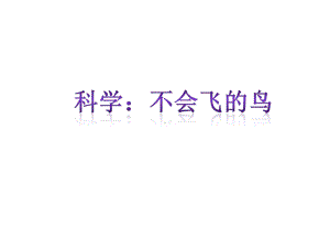 《不会飞的鸟》(幼儿园课件).ppt