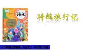 （2020部编版）《骑鹅旅行记(节选)》课件.pptx