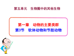 生物八年级上册第五单元第一章第三节《软体动物和节肢动物》省优质课获奖课件.ppt