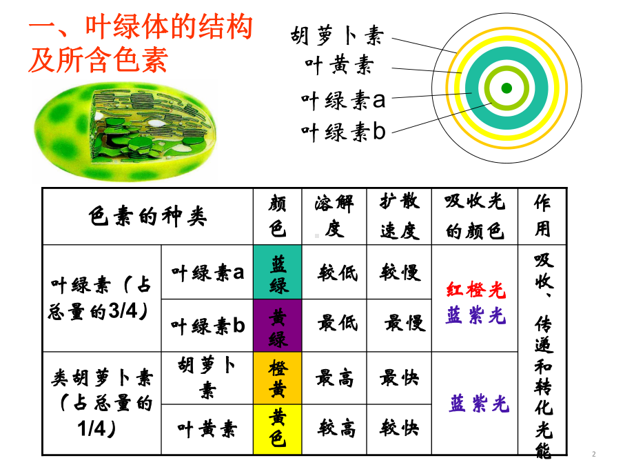 高考生物一轮复习课件：光合作用(共24张).ppt_第2页