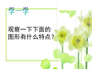 《美丽的纹样》美术课件.ppt