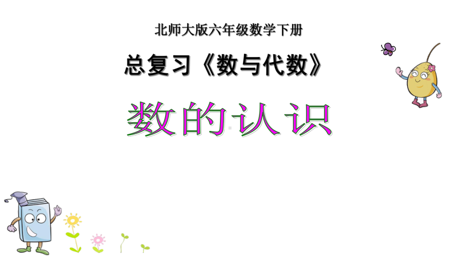 （整理）北师大版小学数学六年级下册总复习《数与代数》优质课件.ppt_第2页