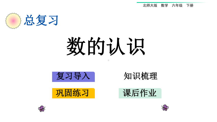 （整理）北师大版小学数学六年级下册总复习《数与代数》优质课件.ppt_第3页