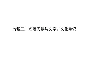 （初中）中考语文总复习第一部分积累与运用专题三名著阅读与文学、文化常识(试题部分)课件.pptx