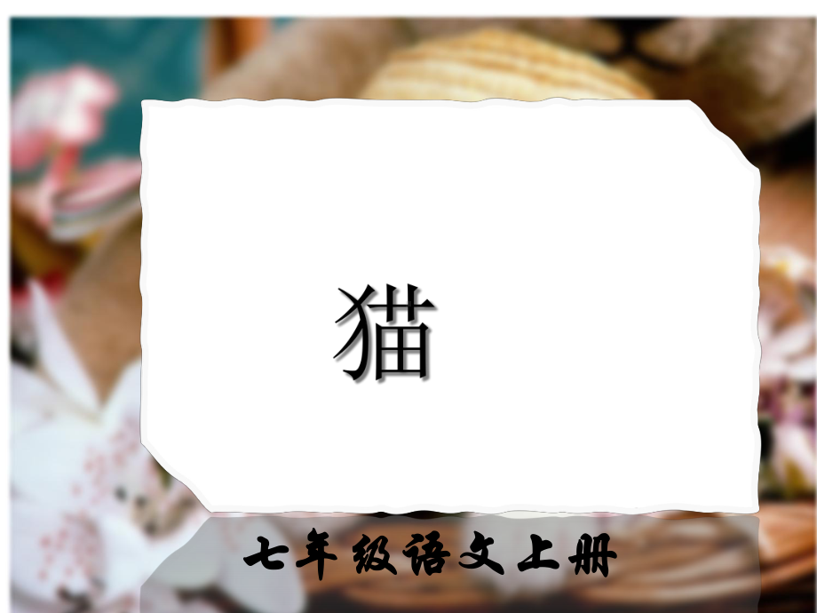 七年级上册猫优质课课件.ppt_第1页