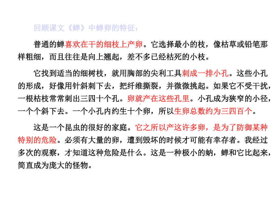 《说明事物要抓住特征》课件.ppt_第3页