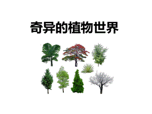 《奇异的植物世界》课件1优质公开课语文S版三下.ppt