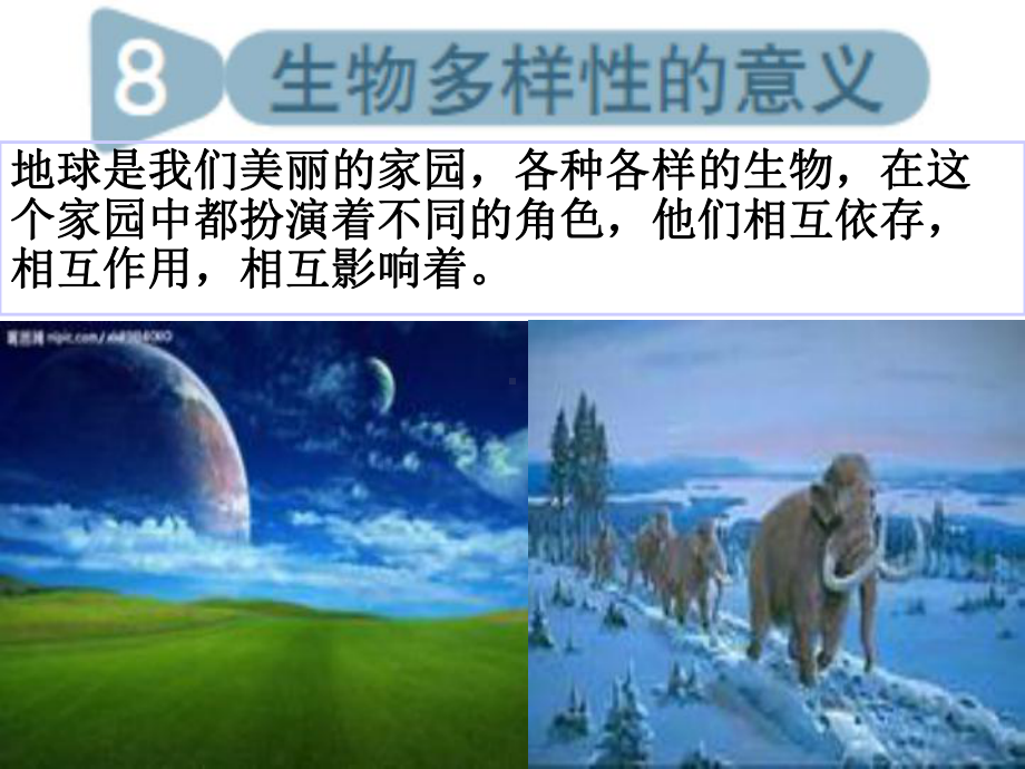 （教科版）科学六年级上册《生物多样性的意义》课件.ppt_第1页