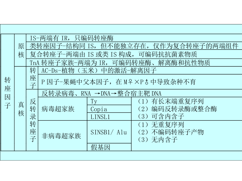 第二十三章重组和转座课件.ppt_第3页