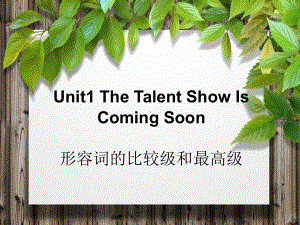 Unit1TheTalentShowIsComingSoon形容词的比较级和最高级优质公开课教科EEC三起6下课件.ppt