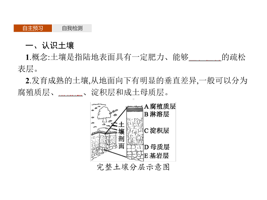 《分析土壤形成的原因》从圈层作用看地貌与土壤优秀课件.pptx_第3页