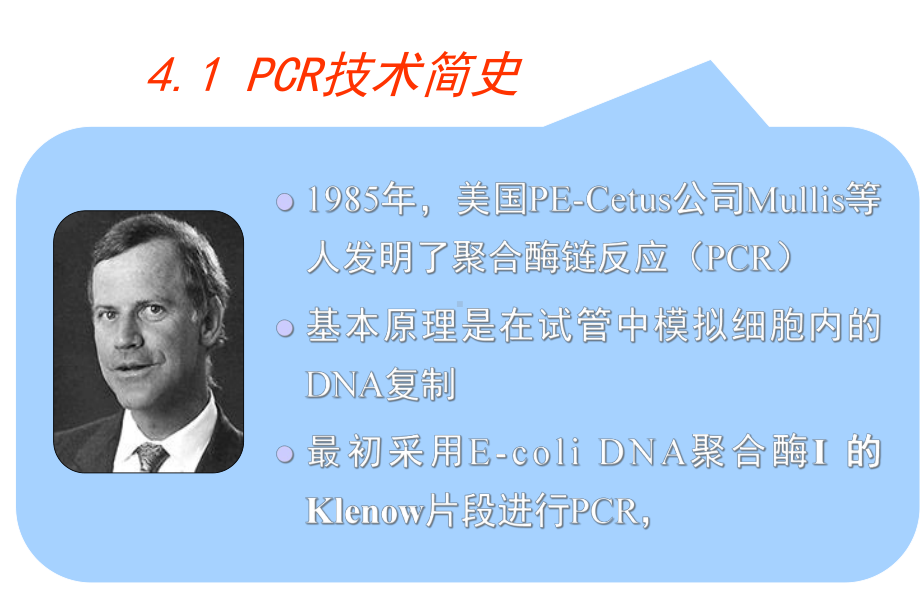 第四章聚合酶链式反应课件.ppt_第3页