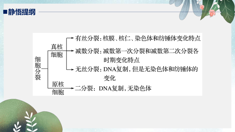 高考生物二轮复习专题三细胞的生命历程考点9细胞分裂过程图像和坐标曲线的识别课件.ppt_第2页