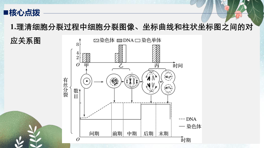 高考生物二轮复习专题三细胞的生命历程考点9细胞分裂过程图像和坐标曲线的识别课件.ppt_第3页