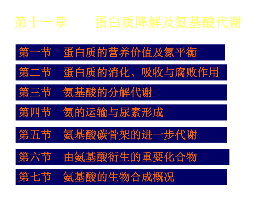 第十一章蛋白质降解及氨基酸代谢课件.ppt_第1页