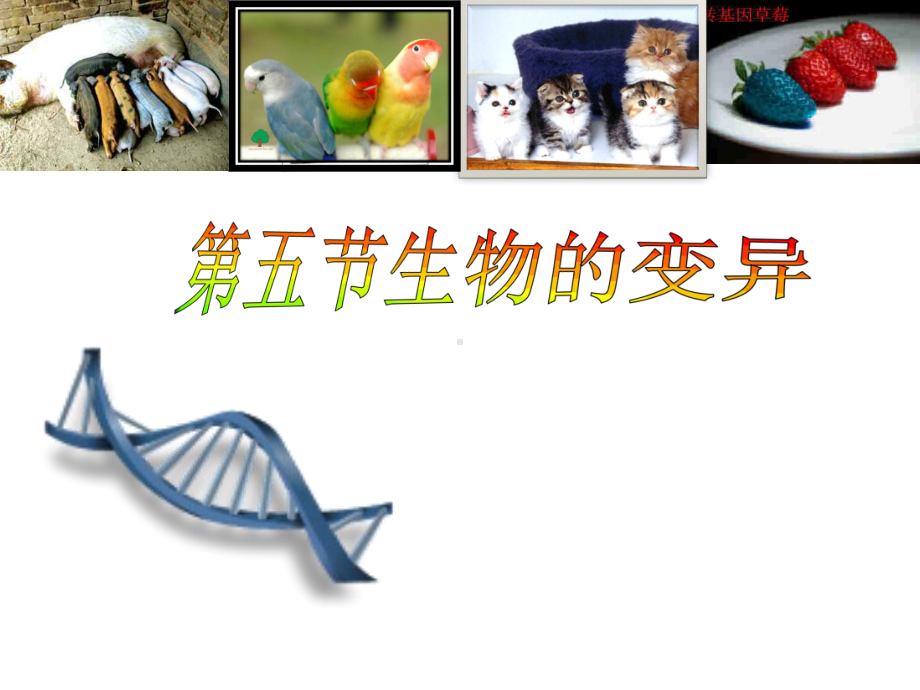 《生物的变异》说课课件.ppt_第1页