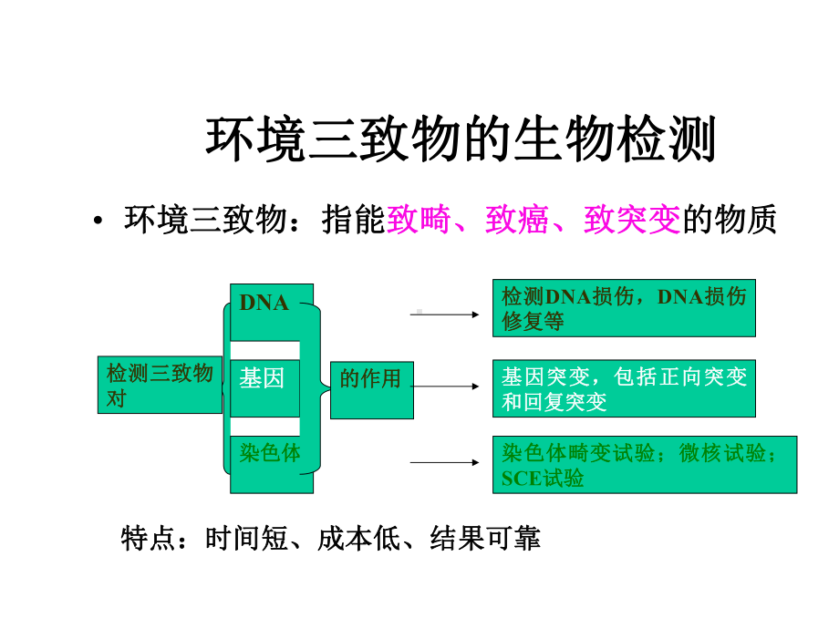 第六章环境三致物的生物检测课件.ppt_第1页