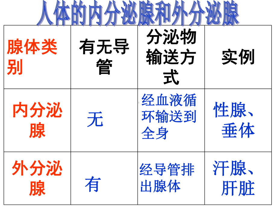 《人体生命活动的调节》复习课件共张共张.ppt_第3页