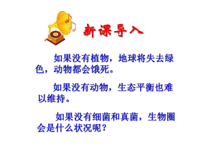 《细菌和真菌在自然界中的作用》课件.ppt