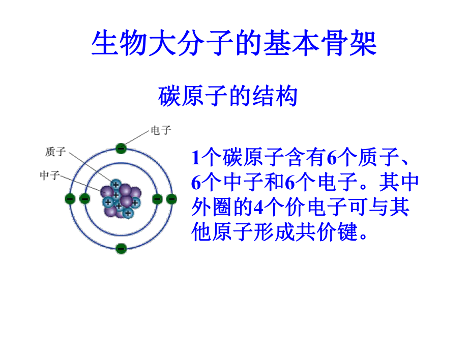 《生物大分子的基本骨架》课件2.ppt_第2页