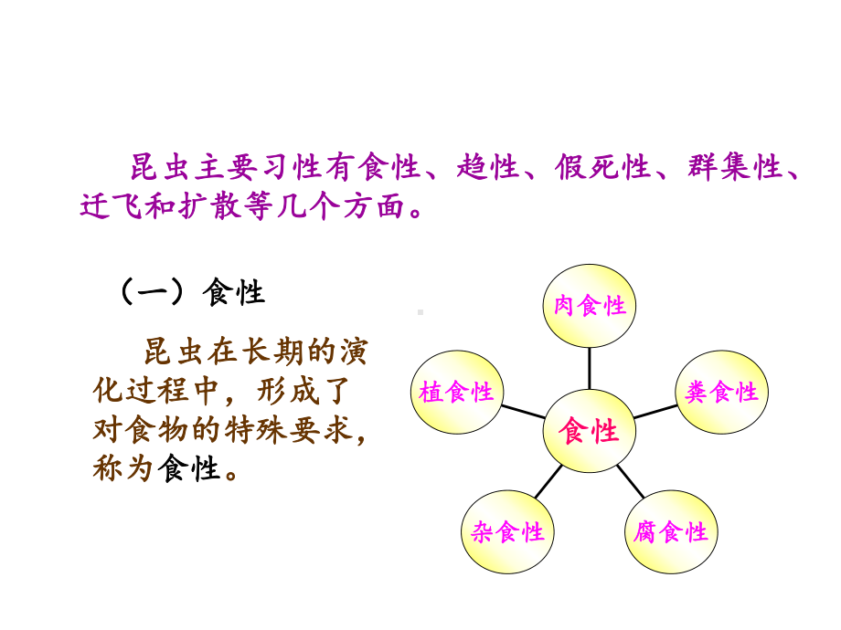 《昆虫的生活习性》课件1.ppt_第2页