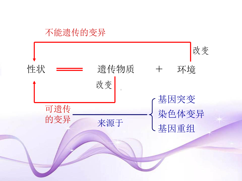 第5章基因突变及其他变异(复习课件).ppt_第3页