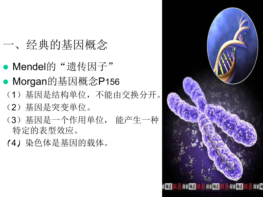 第十一章基因课件.ppt_第3页