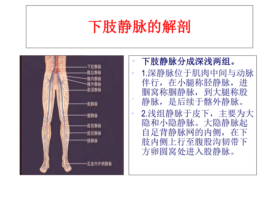 下肢深静脉血栓的护理课件.ppt_第2页