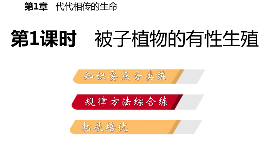 七年级科学下册同步练习课件：第1章代代相传的生命(11).pptx_第2页