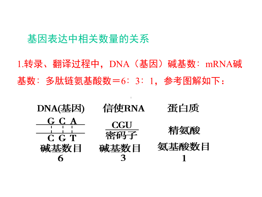 （课件）《基因的表达》章末复习课件.ppt_第2页