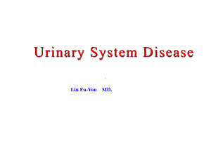 （医学课件）肾病总论(英语)张玖强.pptx