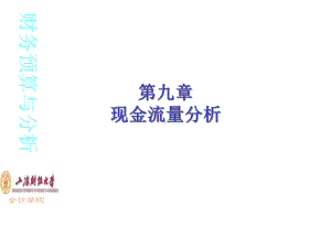 第九章现金流量分析课件.ppt