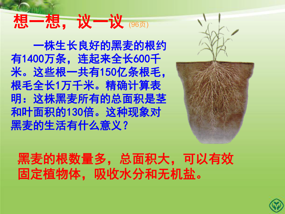 第二节--植株的生长(课件).ppt_第2页